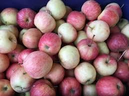 Pommes cabionnette